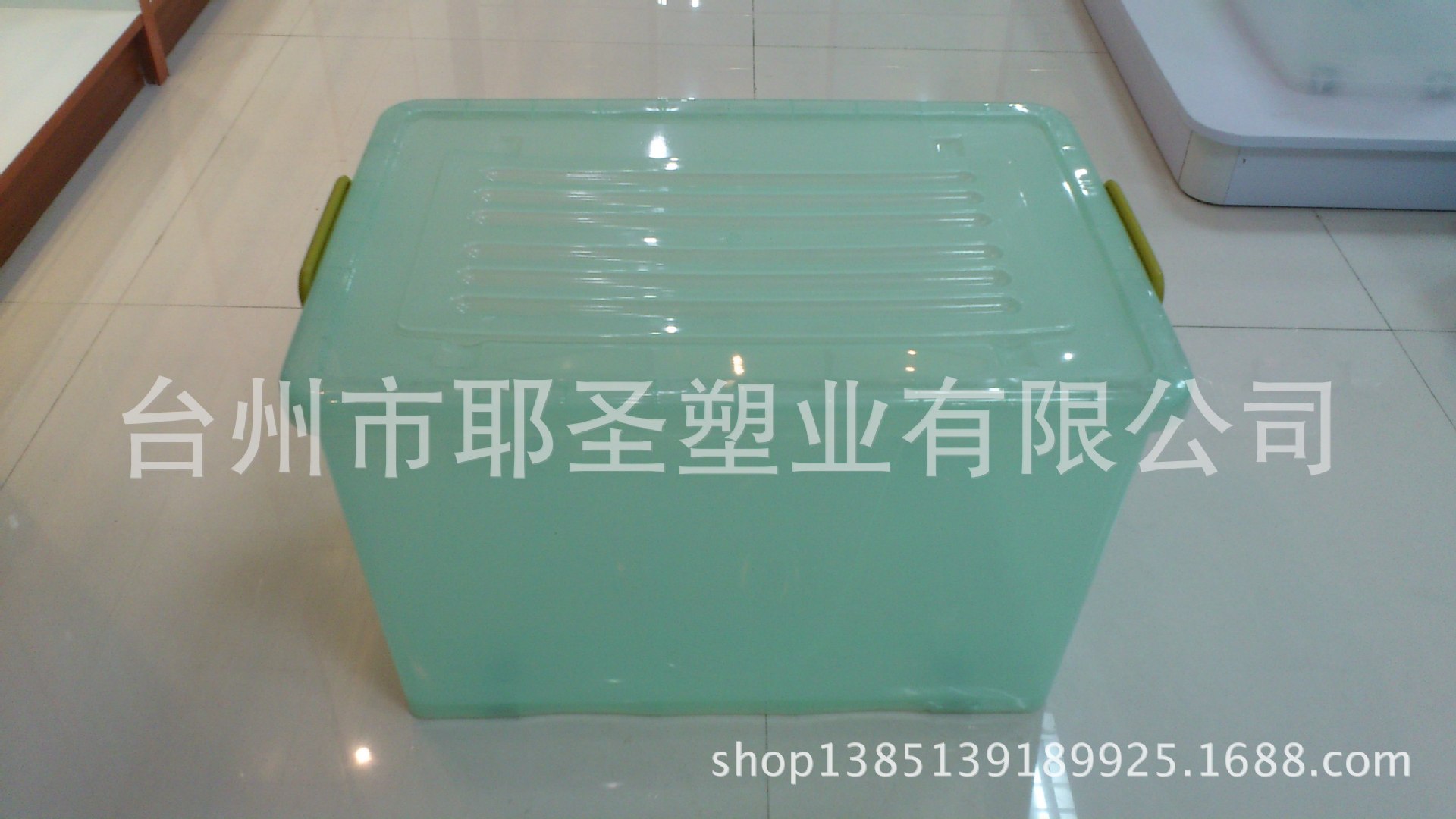 志光161绿色半透明 (1)