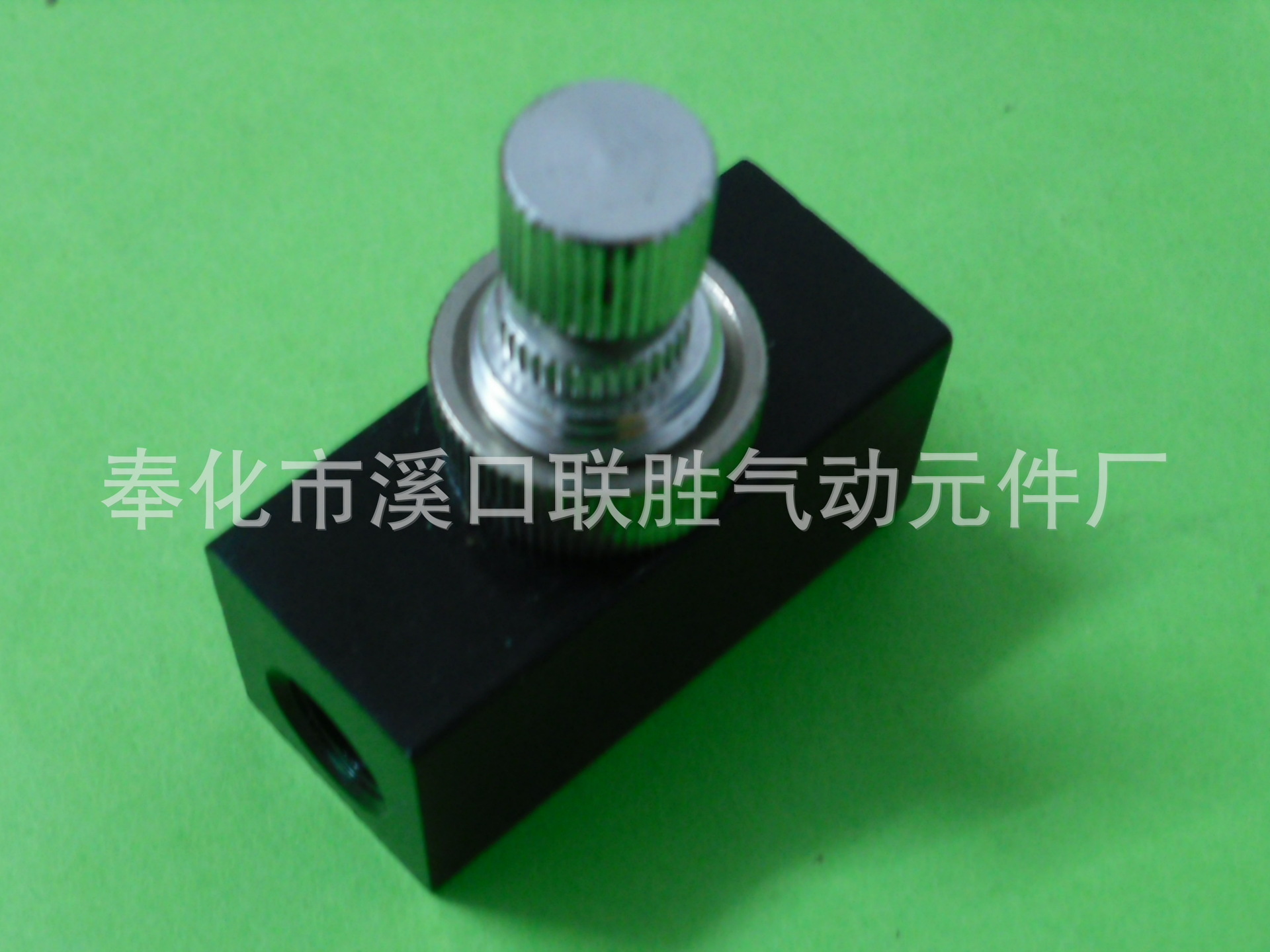 DSCI0881