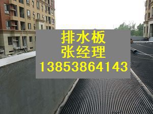 41832.3449602083_P1010120