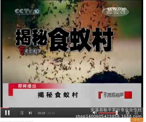 1039720245_260890943