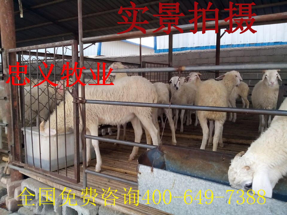 QQ图片20141109170023