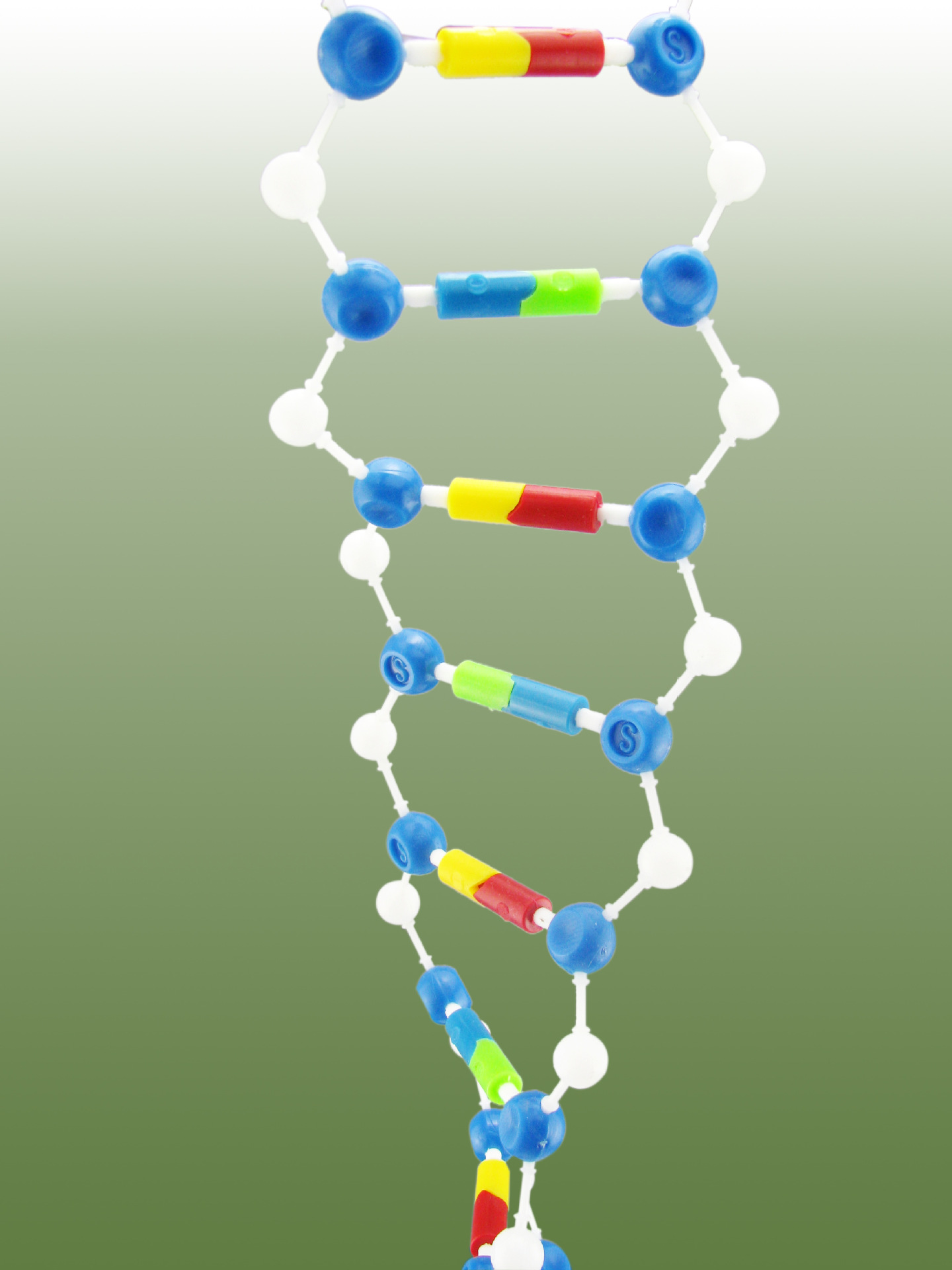 办公,文教 教学模型,器材 生物教学器材 dna双螺旋分子结构模型组件