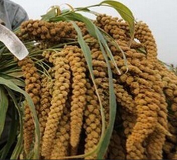 QQ图片20141012112609