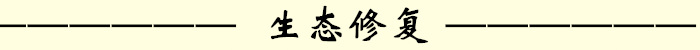 填料