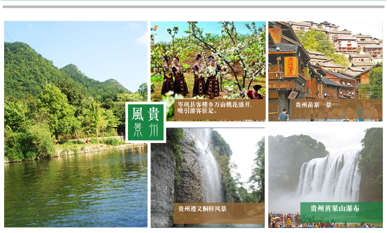 伙拼 堅(jiān)果零食 木瓜干 貴州特產(chǎn) 長壽果野木瓜 果干126g