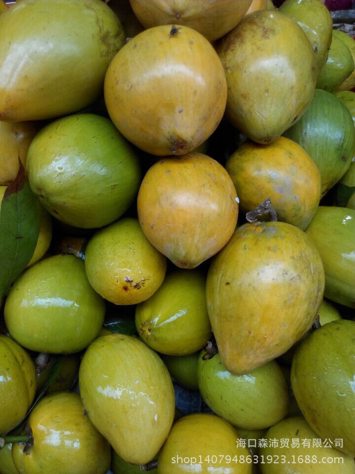 海南热带水果,鸡蛋果,蛋黄果,狮头果,大量低价批发,长期供货