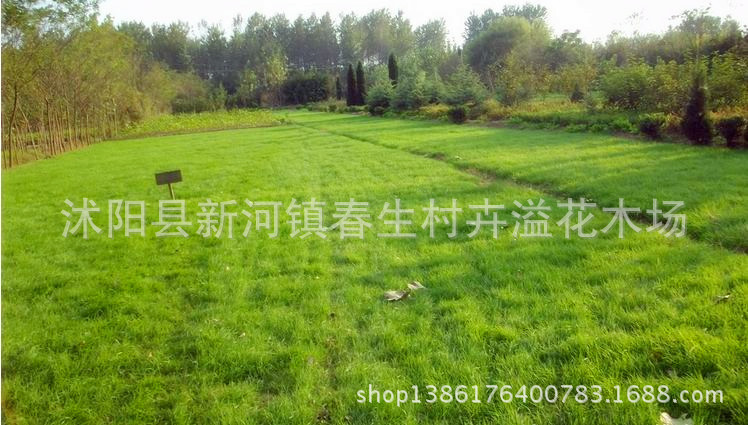 360截图20140302165311656_副本