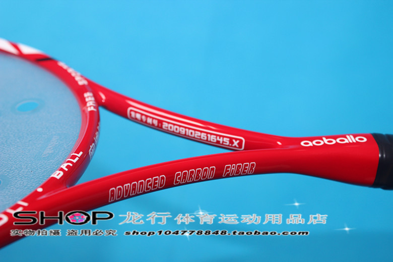 IMG_3060_副本龙行