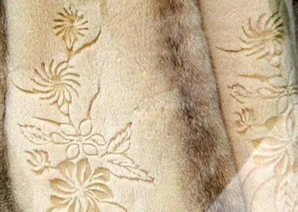 u=913524140,3314398039&fm=23&g