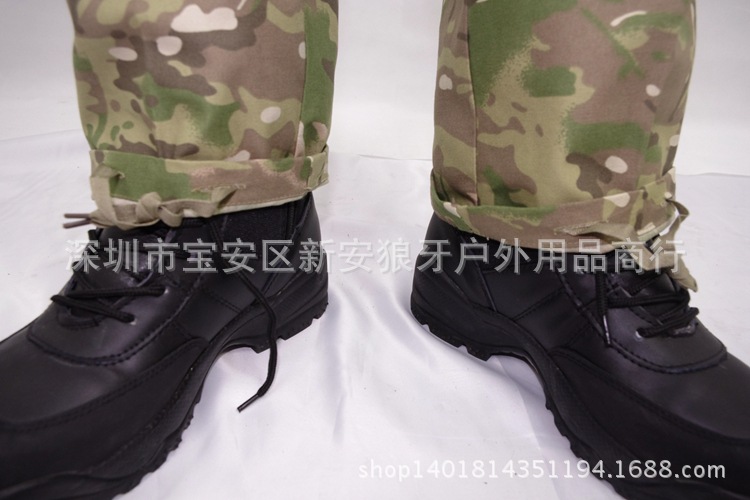 _IGP6784