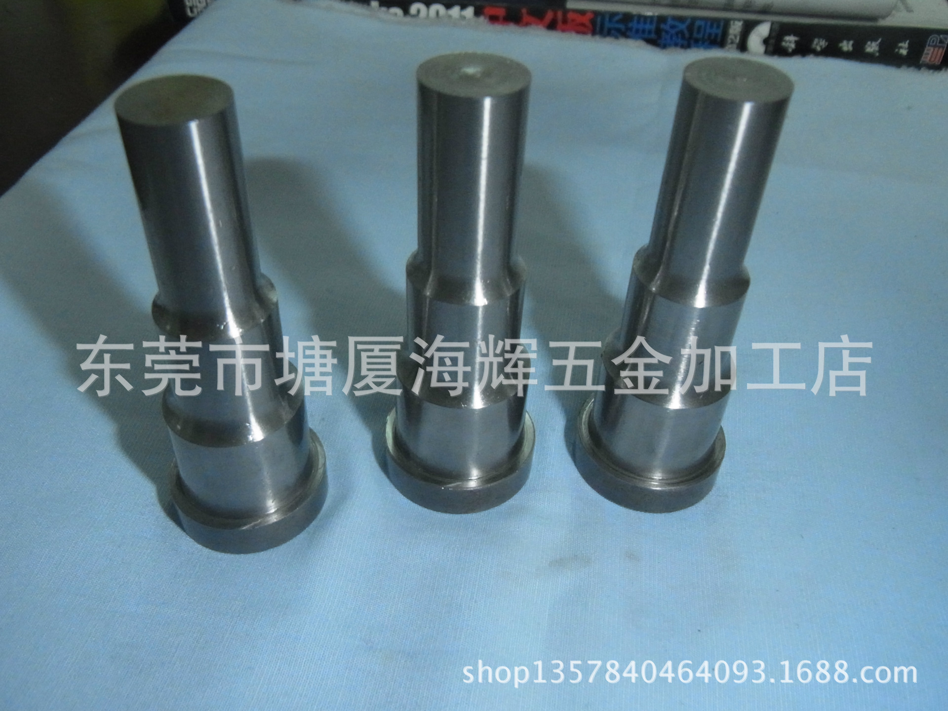 东莞厂商专业订制各种精密冲针