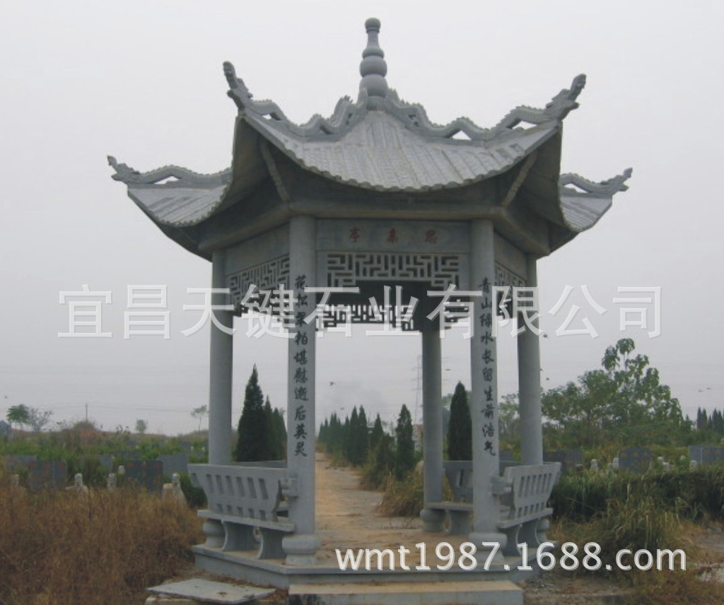 8576680_185943526161_2