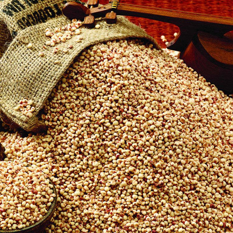 4499633_195629183000_2_副本_副本