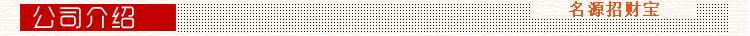 公司介绍条