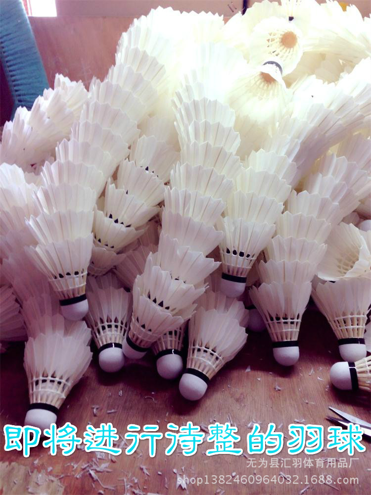 羽球