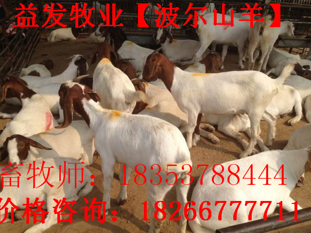 269395-10410526