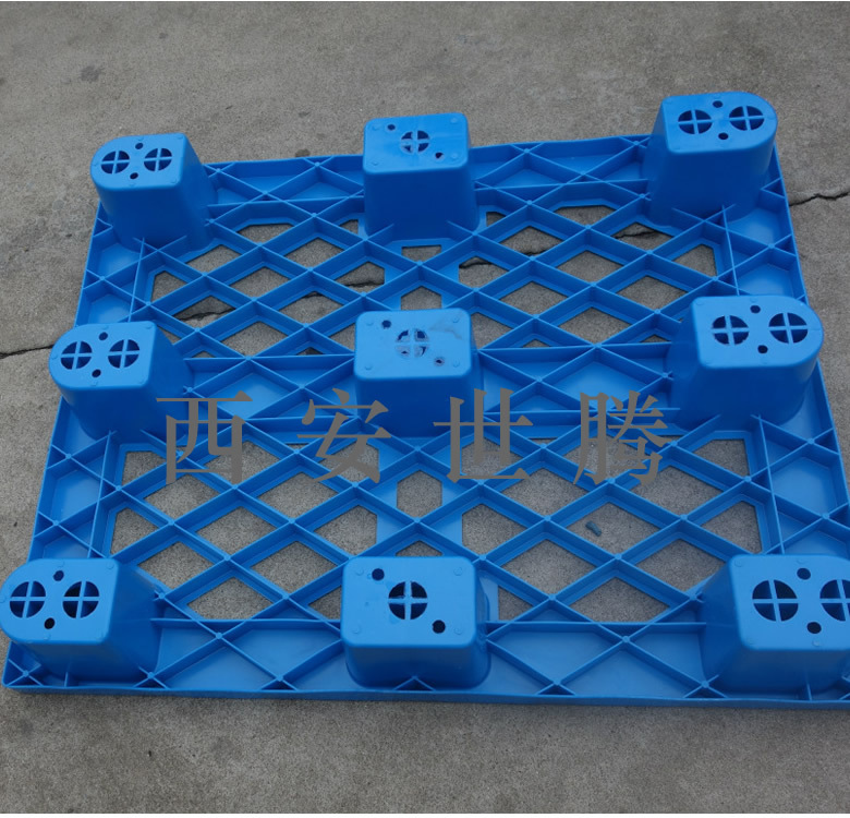 805825772_1172862765