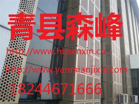 不锈钢装饰冲孔板,冲孔筛板,青县森盛泰筛板厂直销