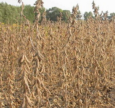 QQ图片20141012112532