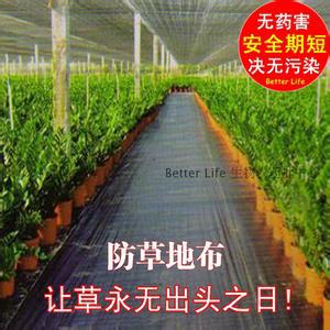 除草布5