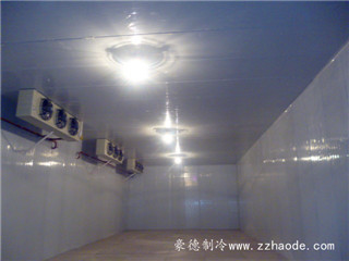 P1010937