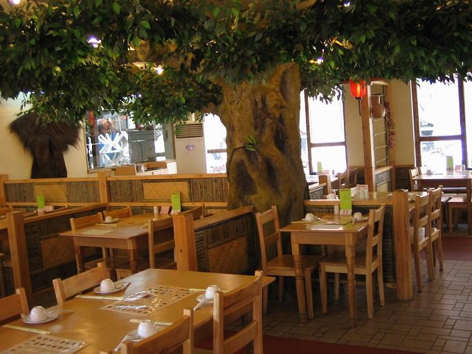 4米高 4.5米冠幅 1.5万元一棵