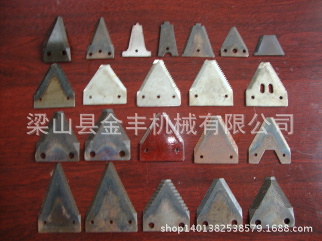 DSC00358