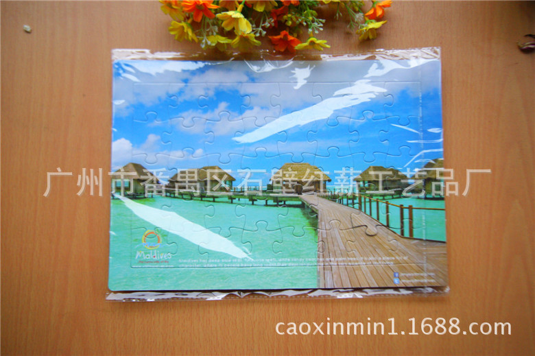 DSC03911