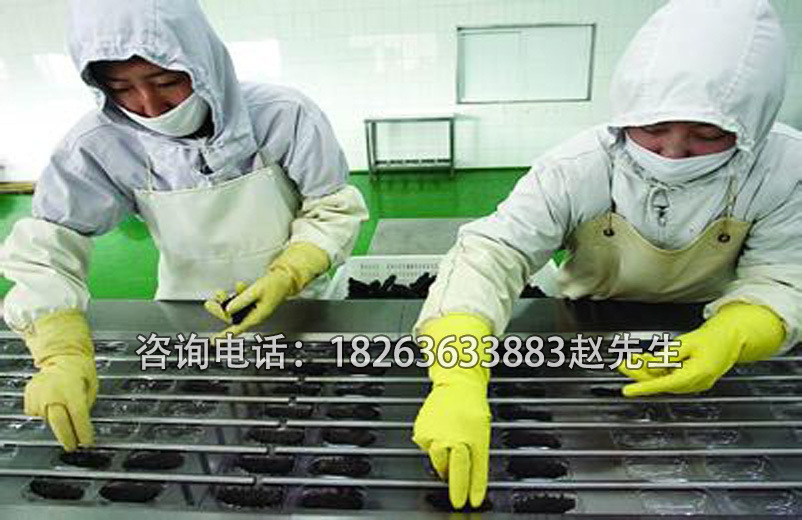 海參拉伸膜真空包裝機