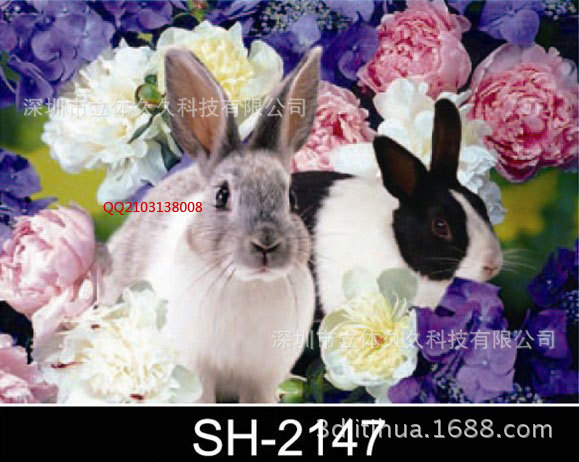 三维立体墙画批发 sh-2340 动物兔子3d立体画定制公司3d画厂家