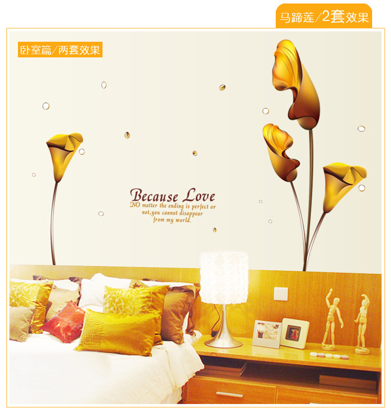 马蹄莲2套效果1