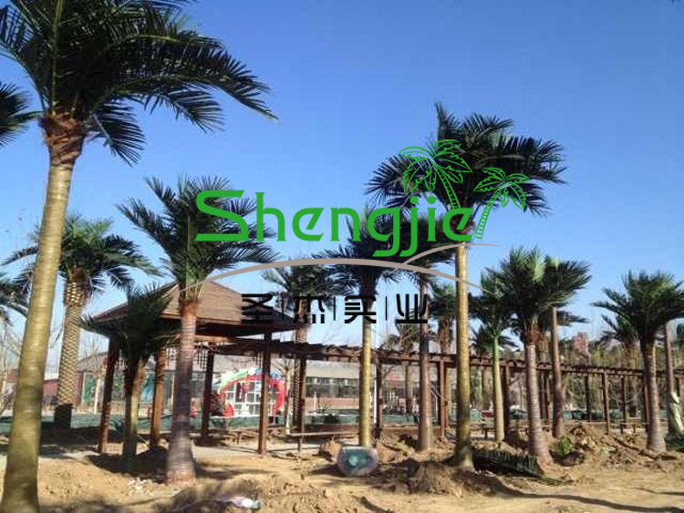 QQ图片20131226181811