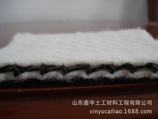 三维复合排水网2