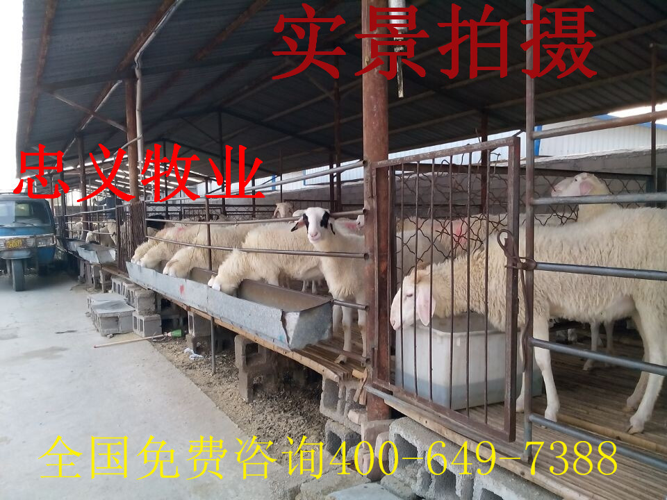 QQ图片20141109170026