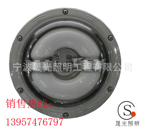 SG-NFC9176长寿顶灯1副本