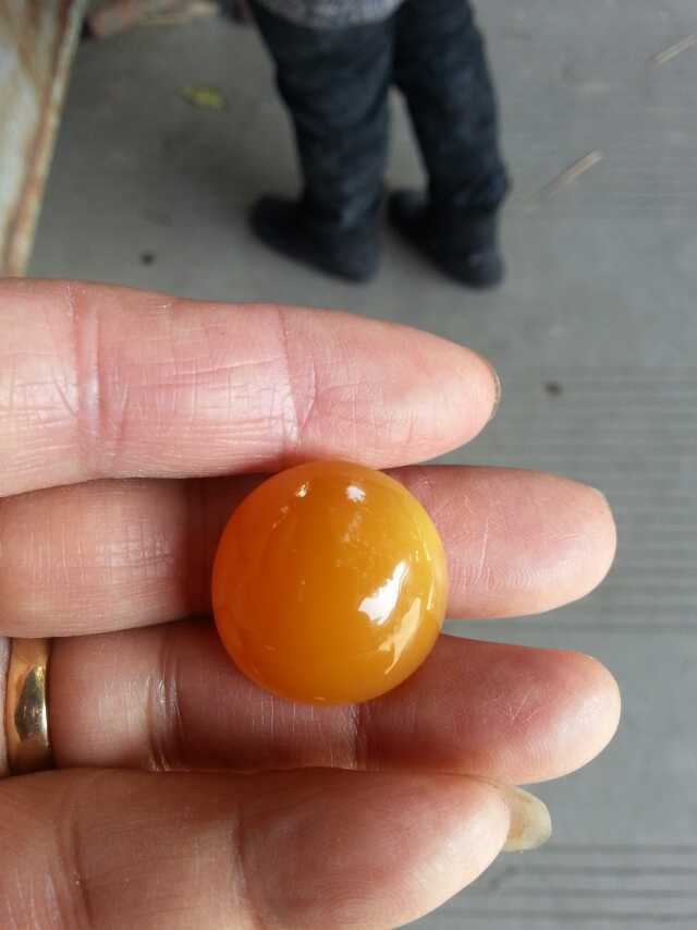 缅甸种老水色好正老种鸡油黄隐晶玉质上乘戒面黄龙玉