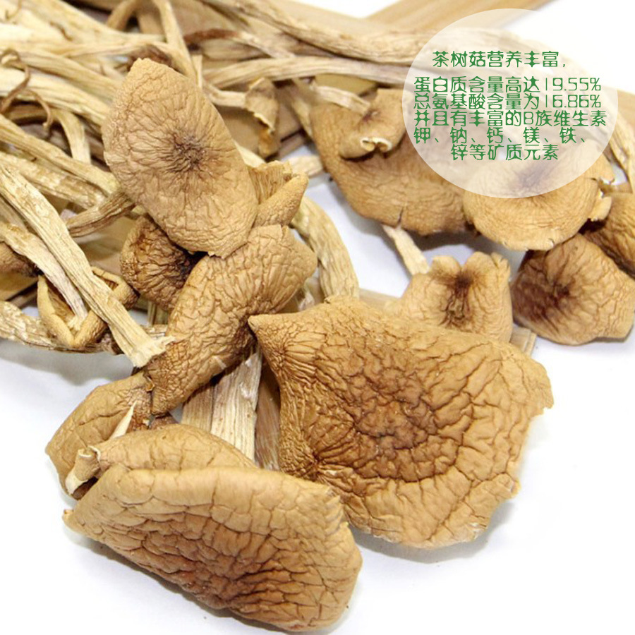 厂家散货特价促销茶树菇 干货土特产美味山珍 福建茶树菇