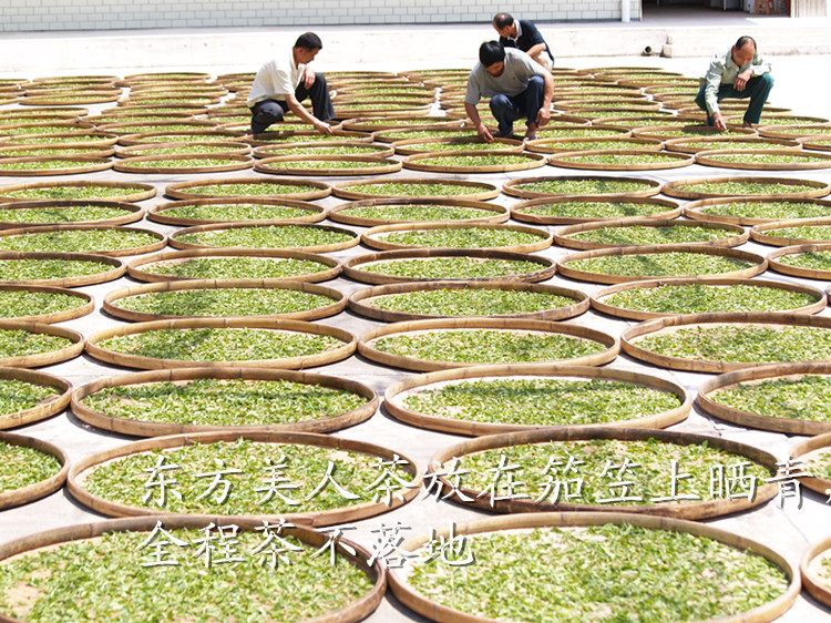 食品,饮料 茶叶 乌龙茶/青茶 高档茶叶东方美人茶 膨风茶 白毫乌龙茶