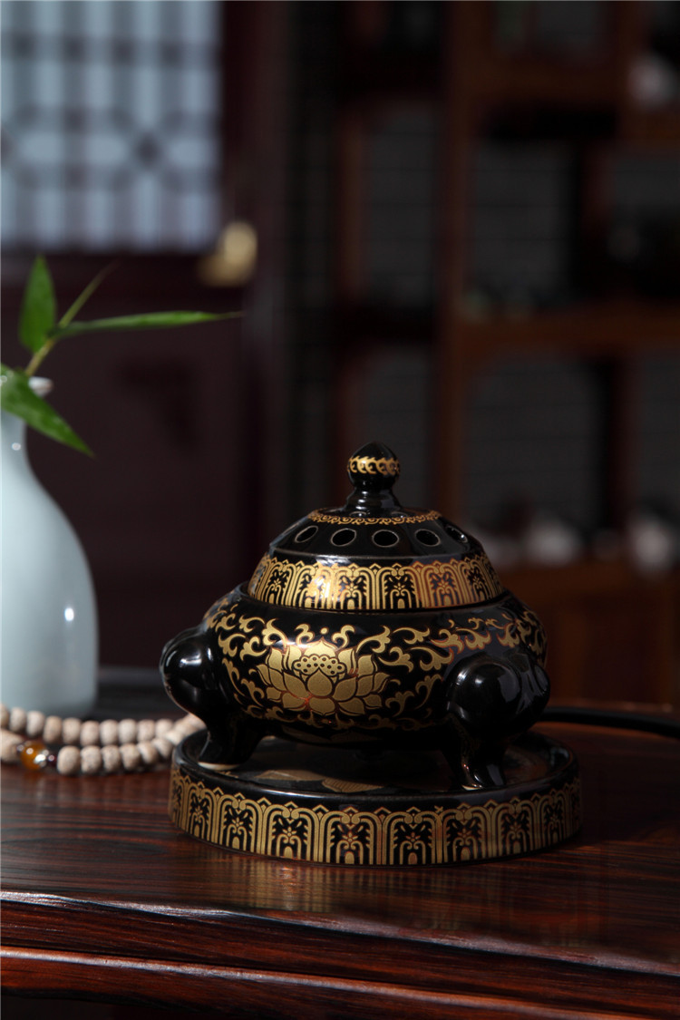IMG_6529