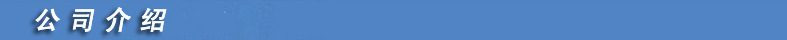 公司介绍