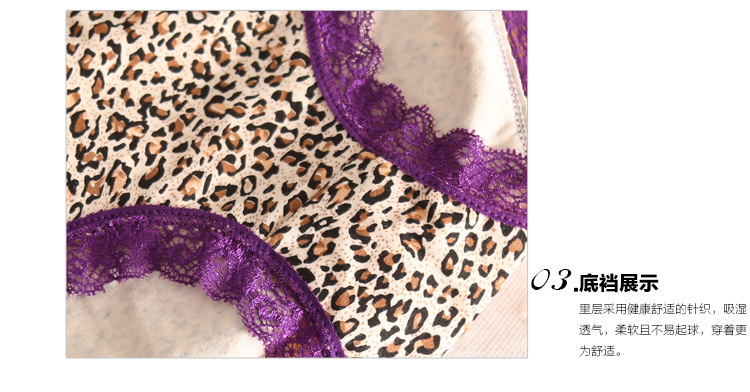 豹纹内裤_16