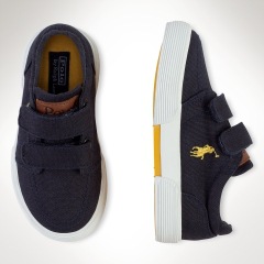 pPOLO2-15710994_standard_t240