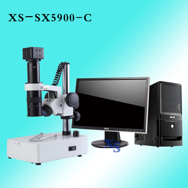 SX5900-C-4
