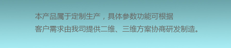 定制