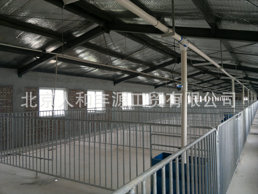 厂家批发 育肥猪栏设备 公猪定位后备猪栏图片_42