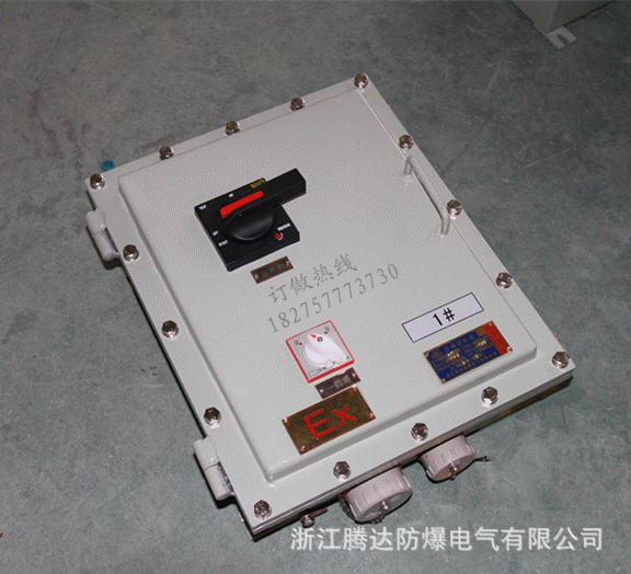 供应防爆箱bxd53-9厂家订做快 多回路防爆动力配电箱钢板焊接