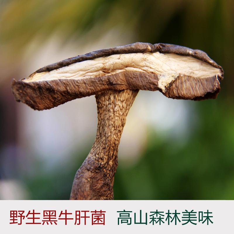 云南牛肝菌干货批发,野生菌黑牛肝菌原产地批发,优质黑牛肝菌1kg