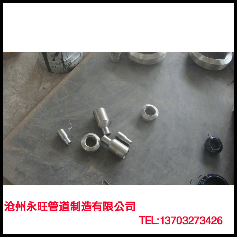 766885689_782837115 副本