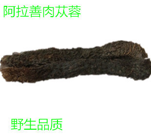 阿拉善野生肉苁蓉不老草补肾虚中药  批发中医草药代理收购30公分