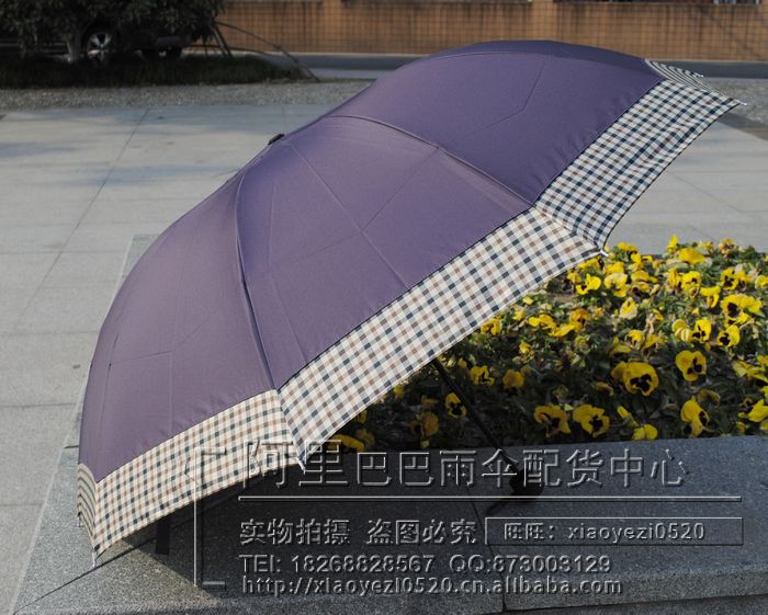 nEO_IMG__DSC0351